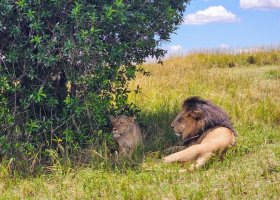 safari-v-keni-095.jpg