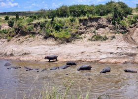 safari-v-keni-096.jpg