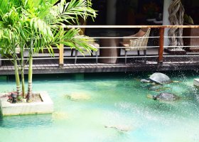 seychely-hotel-dhevatara-beach-hotel-spa-praslin-061.jpg