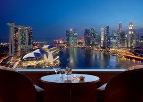 singapore-hotel-the-ritz-carlton-singapore-015.jpg
