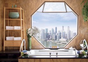 singapore-hotel-the-ritz-carlton-singapore-030.jpg