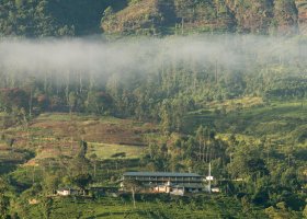 sri-lanka-hotel-ceylon-tea-trails-049.jpg
