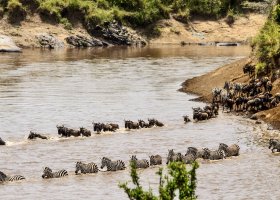 Serengeti Karibu Camps Mara River Camp