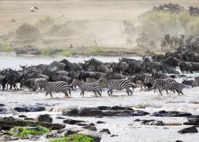 Serengeti Karibu Camps Mara River Camp