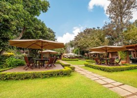 tanzanie-hotel-arusha-coffee-lodge-013.jpg