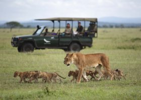 tanzanie-hotel-beyond-grumeti-serengeti-river-lodge-008.jpg