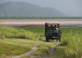 tanzanie-hotel-beyond-lake-manyara-tree-lodge-017.jpg
