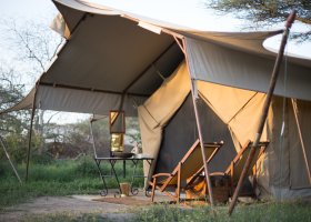 tanzanie-hotel-beyond-serengeti-under-canvas-018.jpg