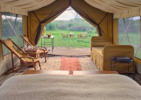tanzanie-hotel-beyond-serengeti-under-canvas-023.jpg
