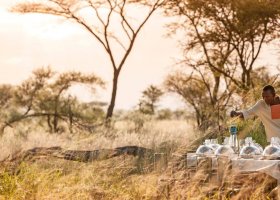 tanzanie-hotel-four-seasons-serengeti-042.jpeg