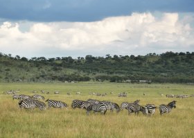 tanzanie-hotel-laba-migration-camp-017.jpg
