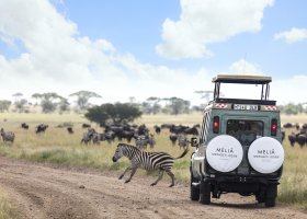 tanzanie-hotel-melia-serengeti-lodge-140.jpg