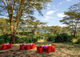 tanzanie-hotel-ngorongoro-serena-023.jpg