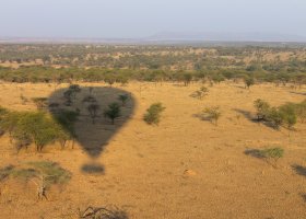 tanzanie-hotel-nimali-serengeti-041.jpg