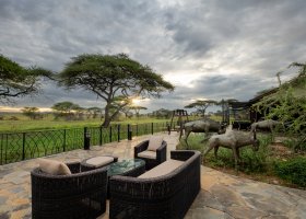 tanzanie-hotel-serengeti-sametu-camp-004.jpg