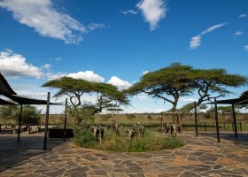 tanzanie-hotel-serengeti-sametu-camp-005.jpg