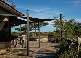 tanzanie-hotel-serengeti-sametu-camp-010.jpg