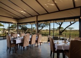 tanzanie-hotel-serengeti-sametu-camp-059.jpg