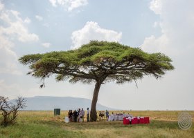 tanzanie-hotel-serengeti-serena-002.jpg