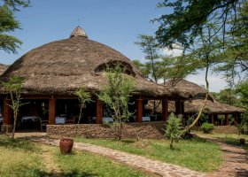 tanzanie-hotel-serengeti-serena-022.jpg