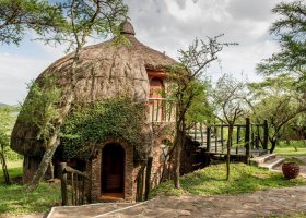 tanzanie-hotel-serengeti-serena-030.jpg