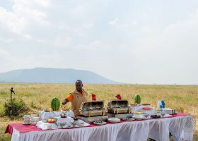 tanzanie-hotel-serengeti-serena-034.jpg
