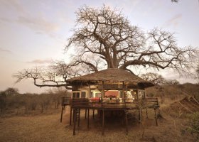 tanzanie-hotel-tarangire-treetops-002.jpg