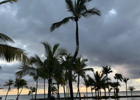 tropicka-dovolena-s-batoletem-037.jpeg