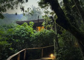 uganda-hotel-gorilla-forest-lodge-009.jpg