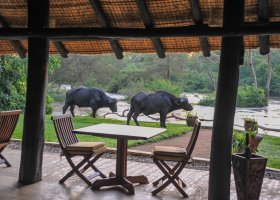 uganda-hotel-ishasha-wilderness-camp-004.jpg