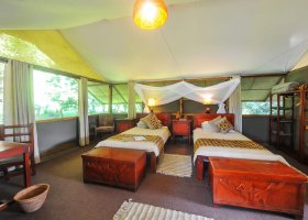 uganda-hotel-ishasha-wilderness-camp-039.jpg