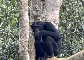 uganda-kena-a-tanzanie-054.jpg