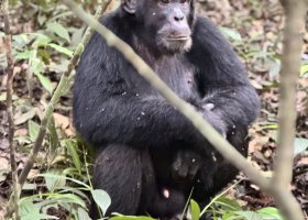 uganda-kena-a-tanzanie-057.jpg