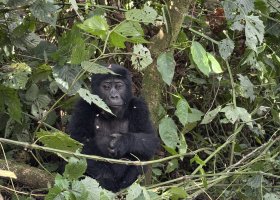 uganda-kena-a-tanzanie-095.jpg