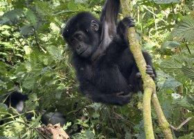 uganda-kena-a-tanzanie-098.jpg