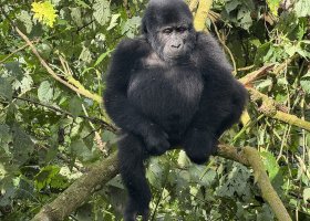 uganda-kena-a-tanzanie-101.jpg