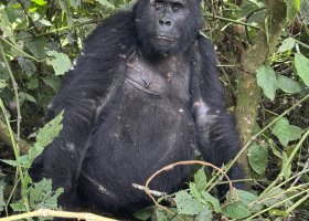 uganda-kena-a-tanzanie-106.jpg