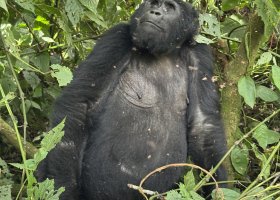 uganda-kena-a-tanzanie-107.jpg