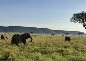 uganda-kena-a-tanzanie-134.jpg