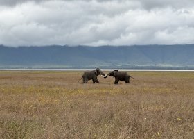 uganda-kena-a-tanzanie-201.jpg