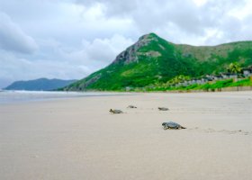 vietnam-hotel-six-senses-con-dao-002.jpg