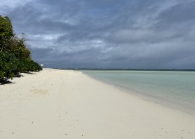 waldorf-astoria-platte-a-ine-hotely-na-seychelach-003.jpeg