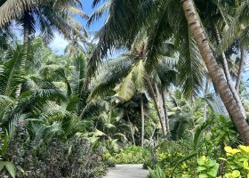 waldorf-astoria-platte-a-ine-hotely-na-seychelach-008.jpg