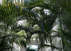 yoga-retreat-na-mauriciu-2025-023.jpg