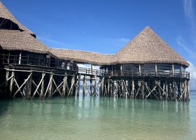 zanzibar-2025-042.jpg