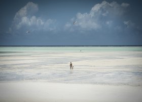 zanzibar-hotel-zanzibar-white-sand-luxury-villas-spa-311.jpg