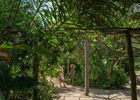 zanzibar-hotel-zuri-zanzibar-340.jpg