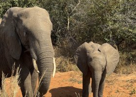 zimbabwe-a-botswana-2026-016.jpg