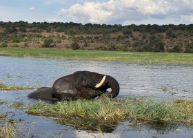 zimbabwe-a-botswana-2026-017.jpg