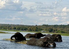 zimbabwe-a-botswana-2026-018.jpg